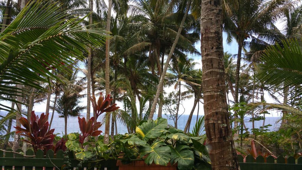 Nice Studio W/ Ac Near Kehena Beach And Lava Fields Rum bild